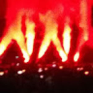 Meet your Posher, Joey